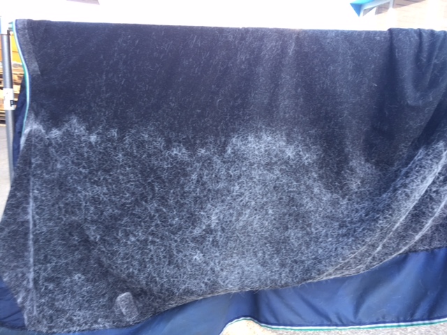 deckenwaschservice pferde