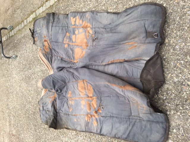 deckenwaschservice pferde