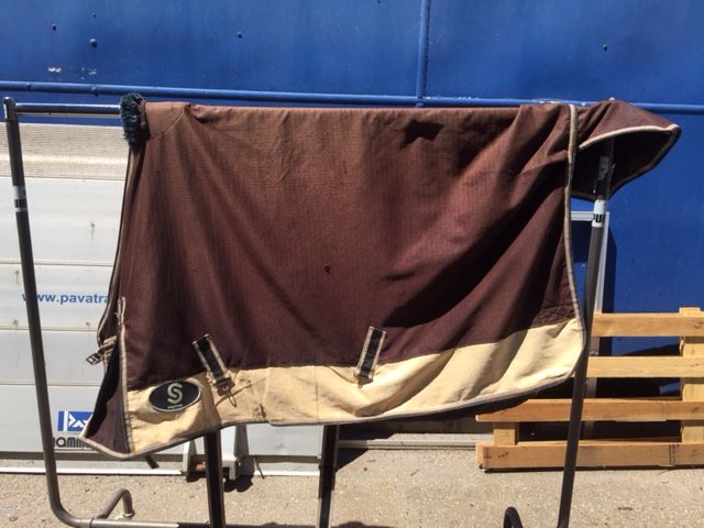 deckenwaschservice pferde